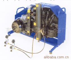 供應固定式空氣充填泵,充填泵13505101032工廠,批發,進口,代購