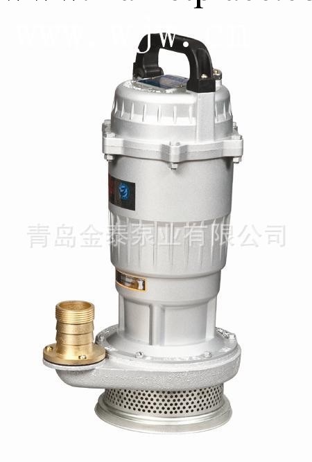 供應潛水泵  小型潛水泵   QDX潛水泵   QDX1.5-16-0.37潛水泵工廠,批發,進口,代購