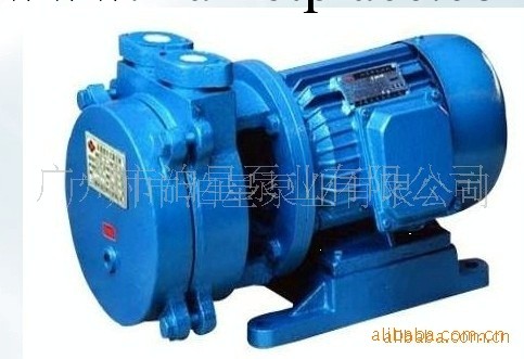 廣州泊星泵業供應SK-0.4水環式真空泵工廠,批發,進口,代購