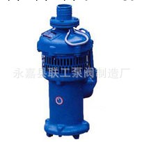 直銷QY油浸泵  專業QY油浸泵 高效QY油浸泵工廠,批發,進口,代購