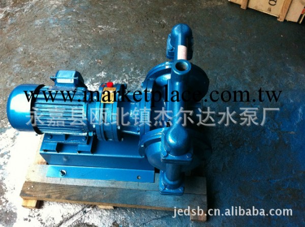 品牌【正品】電動隔膜泵DBY-40不銹鋼304批發・進口・工廠・代買・代購