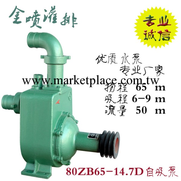 自吸泵 80ZB65-14.7D型 水泵廠傢 農用機械 排水灌溉工廠,批發,進口,代購