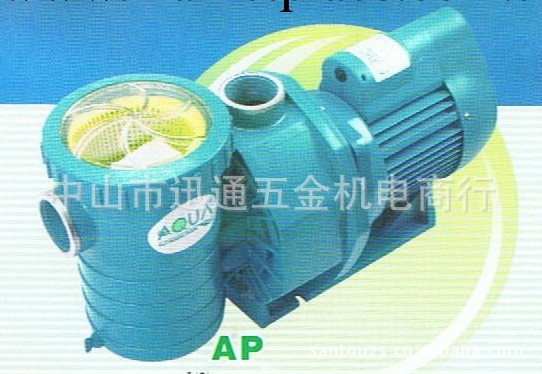 供應意大利泳池泵（自吸式過濾泵）AP-200工廠,批發,進口,代購