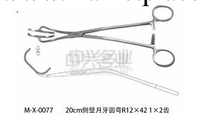 頸動脈側壁鉗 19cm工廠,批發,進口,代購