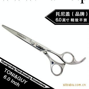托尼蓋 TONI&GUY專業剪發工具 理發剪刀 美發剪刀 [XK305-60]工廠,批發,進口,代購