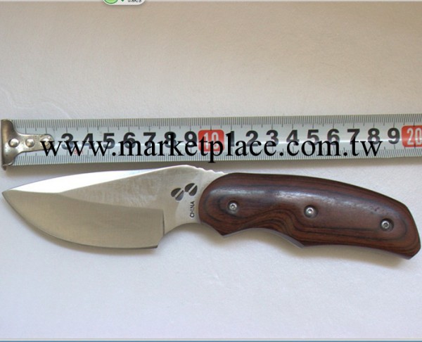 巴克 BUCK 076/麋鹿小直刀 刀具 收藏刀 戶外刀 禮品刀 戶外精品工廠,批發,進口,代購