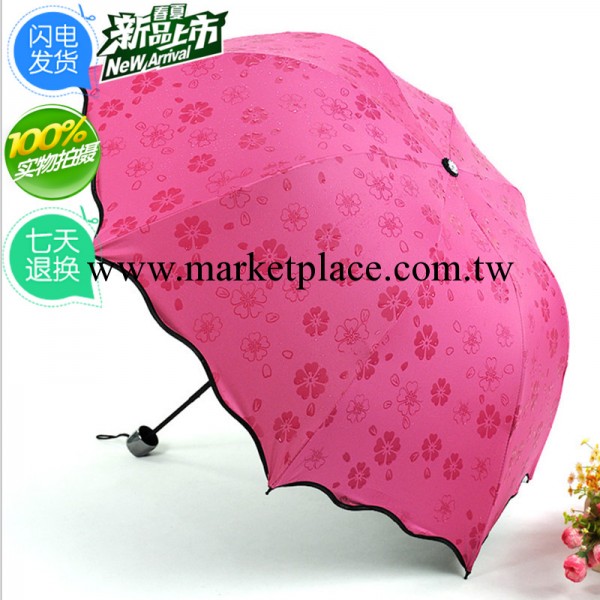 韓國公主荷葉邊雨傘 創意遇水開花傘 變色魔術雨傘 淘寶熱賣工廠,批發,進口,代購