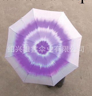 廠傢批發 2012年新款式雨傘 紫玫瑰花傘 實拍圖工廠,批發,進口,代購