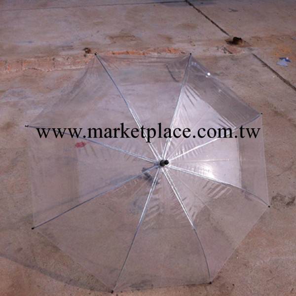 精美女性透明遮陽傘 自動直桿傘 鋼槽架雨傘批發批發・進口・工廠・代買・代購