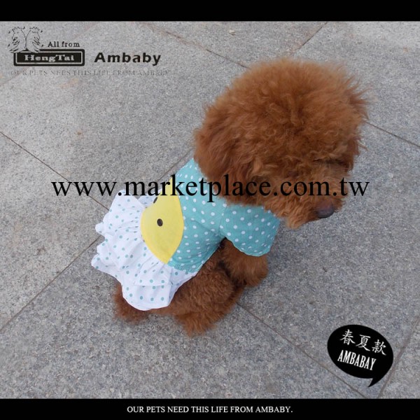 AMBABY寵物衣服，狗衣服，訂貨專用鏈接不單一銷售批發・進口・工廠・代買・代購