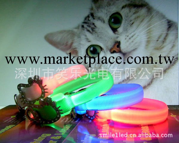 熱銷超亮led發光寵物帶KT貓扣扁光纖熒光織帶高透亮4色工廠,批發,進口,代購