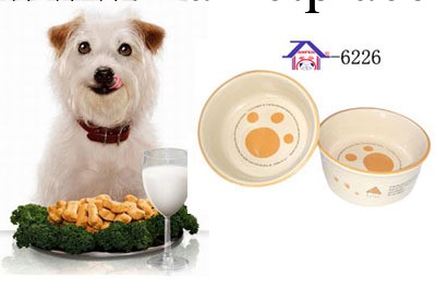 寵物防滑陶瓷碗6226寵物用品研發生產出口批發代理代發工廠,批發,進口,代購