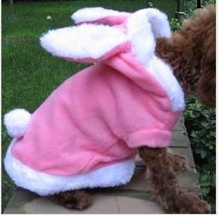 可愛兔子裝 貓狗衣服 泰迪貴賓秋冬裝寵物衣服 特價 熱銷變身裝工廠,批發,進口,代購