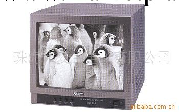 14"黑白視頻監視器工廠,批發,進口,代購