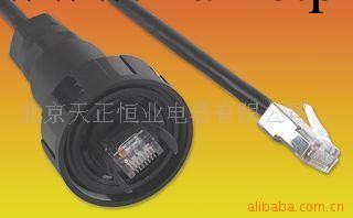 供應BULIGNRJ45以太網電纜組工廠,批發,進口,代購