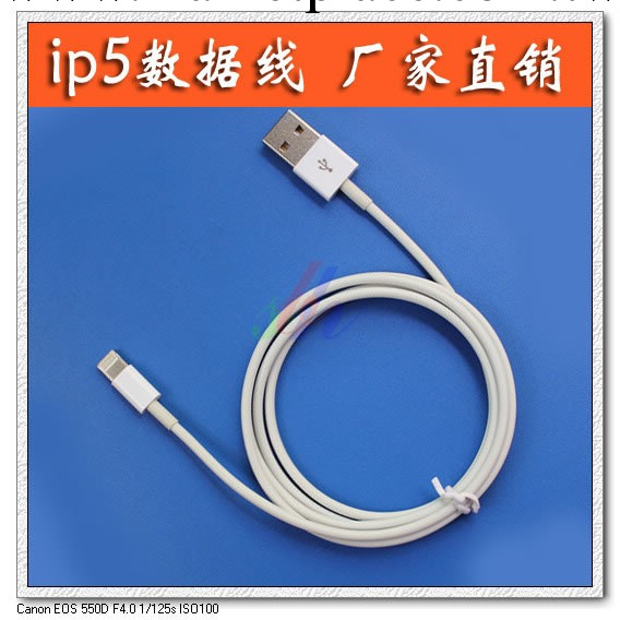 IPHONE5超低價兩芯充電線工廠,批發,進口,代購