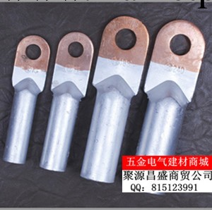 批發銅鋁過渡鼻子 線鼻子 接線端子 DTL-120銅鋁端子 A級 國標工廠,批發,進口,代購