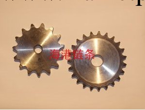 專業供應 鏈輪 不銹鋼鏈輪 型號齊全 品質保障工廠,批發,進口,代購