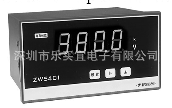 青島青智ZW5405頻率表（0.5級）工廠,批發,進口,代購