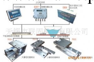 優惠供應7000系列自動化稱重系統稱重模塊應用工廠,批發,進口,代購