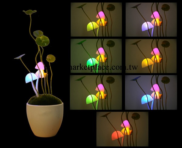 創意傢居光控阿凡達蘑菇燈 創意LED小夜燈 七彩小夜燈情人節禮物工廠,批發,進口,代購
