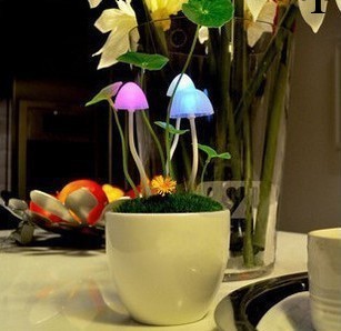 陶瓷蘑菇燈阿凡達蘑菇燈LED/盆栽小夜燈 感應燈安睡燈廠傢直銷工廠,批發,進口,代購
