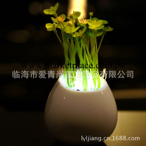 LYL 植物盆栽燈光控節能小夜燈LED七彩小臺燈混裝批發工廠,批發,進口,代購