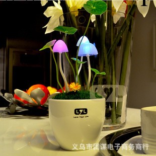 阿凡達蘑菇燈 陶瓷版 LED小夜燈 插電小夜燈 創意傢居批發・進口・工廠・代買・代購