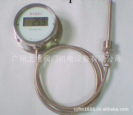 WMZ-200/DTM-280數顯溫度計/遠傳數顯溫度計/液晶數字溫度計工廠,批發,進口,代購