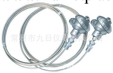 【優良品質】供應耐磨熱電阻 常州九日熱電阻 防爆熱電阻工廠,批發,進口,代購