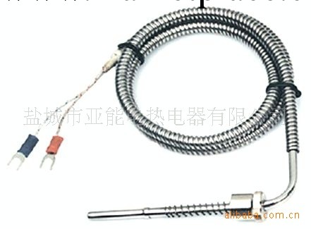 亞能供應PT100  熱電阻工廠,批發,進口,代購