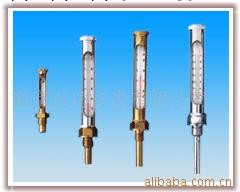 供應WNG-11各種溫度計(圖)工廠,批發,進口,代購