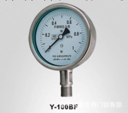 不銹鋼耐高溫壓力表,蒸汽壓力表,高溫高壓壓力表,Y-60BF-1-0.6Mpa工廠,批發,進口,代購