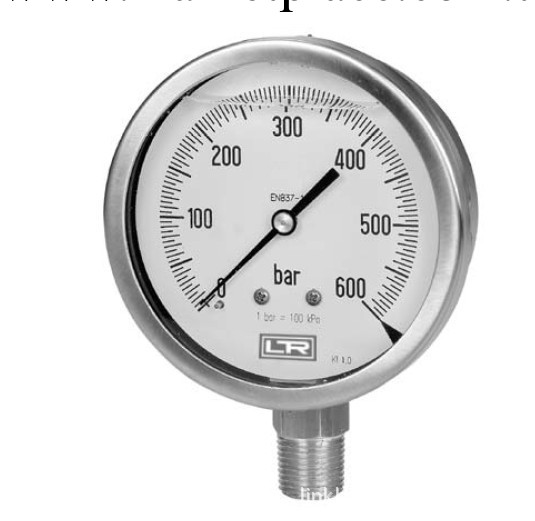 LR波登管壓力表，無填充/液體填充，型號01.10，表圓直徑100㎜工廠,批發,進口,代購