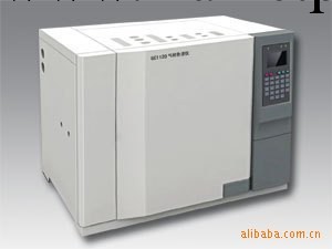 上海舜宇恒平 GC1120-2 氣相色譜機工廠,批發,進口,代購