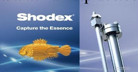 shodex色譜柱糖柱凝膠色譜離子色譜原裝進口日本昭和電工全國代理工廠,批發,進口,代購