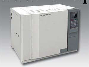 GC1120-6氣相色譜機工廠,批發,進口,代購