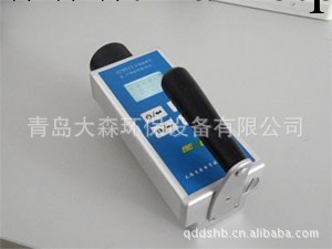 BS9511 X、γ輻射劑量檢測機，射線檢測機，輻射檢測機，工廠,批發,進口,代購