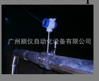 廣州壓縮空氣流量計/氣體流量計工廠,批發,進口,代購