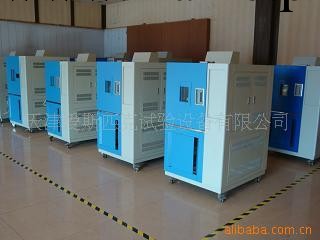 天津愛斯匹克專業生產可程式高低溫濕熱試驗箱100L工廠,批發,進口,代購