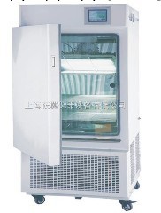 藥品穩定性試驗箱LHH-150GP工廠,批發,進口,代購