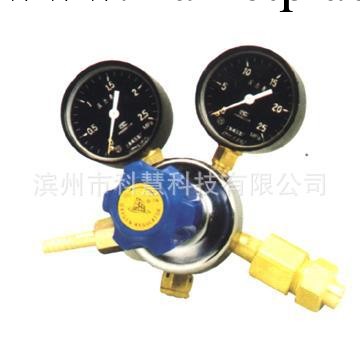 特價供應 上海氮氣減壓器YQD-6工廠,批發,進口,代購