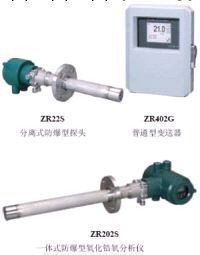 現貨供應日本橫河氧化鋯探頭ZR22G-015-S-Q-C-T-T-C-A工廠,批發,進口,代購