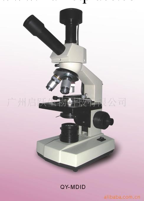 供應MDI超高倍顯微應用（一滴血）亞健康檢測機工廠,批發,進口,代購