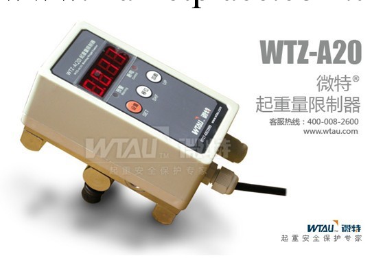 WTZ-A20 電動葫蘆稱重機 微特電子工廠,批發,進口,代購