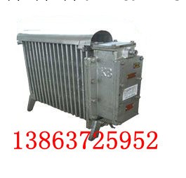 RB2000/127(A)煤礦用隔爆型電熱取暖器工廠,批發,進口,代購