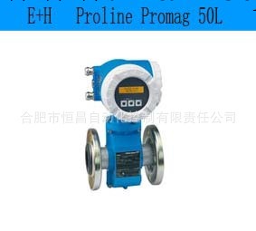 E+H/恩德斯豪斯 電磁流量計 50L工廠,批發,進口,代購