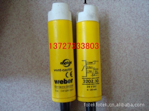 內嵌式氣體流量計 Weber 3202.30  3202.01工廠,批發,進口,代購