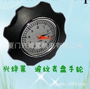 廠傢批發調節機表 不銹鋼數字表工業控制機表   數顯機表控制上海工廠,批發,進口,代購
