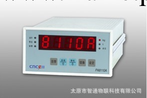 廠傢直銷餘姚太平洋cncell PA8110A型稱重顯示器工廠,批發,進口,代購